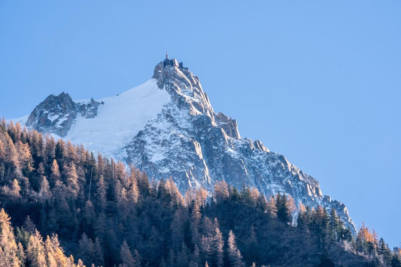 Chamonix Sud Studio With Mont Blanc Views Luaran gambar